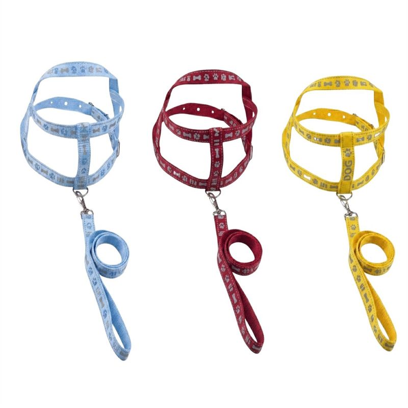 GuiaTradicionalcomPeitoralSortidaFuracaoPetnº3-169750