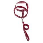 GuiaTradicionalcomPeitoralSortidaFuracaoPetnº3-169752