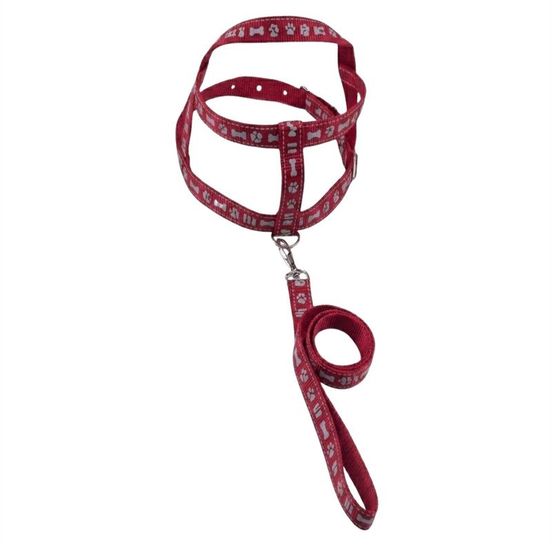 GuiaTradicionalcomPeitoralSortidaFuracaoPetnº3-169752