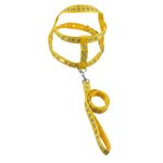 GuiaTradicionalcomPeitoralSortidaFuracaoPetnº3-169753