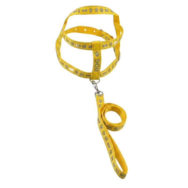 GuiaTradicionalcomPeitoralSortidaFuracaoPetnº3-169753