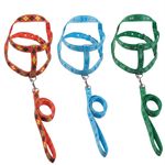 GuiaTradicionalcomPeitoralSortidaFuracaoPetnº4GuiaTradicionalcomPeitoralFuracaoPetn4-169754