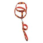 GuiaTradicionalcomPeitoralSortidaFuracaoPetnº4GuiaTradicionalcomPeitoralFuracaoPetn4-169755