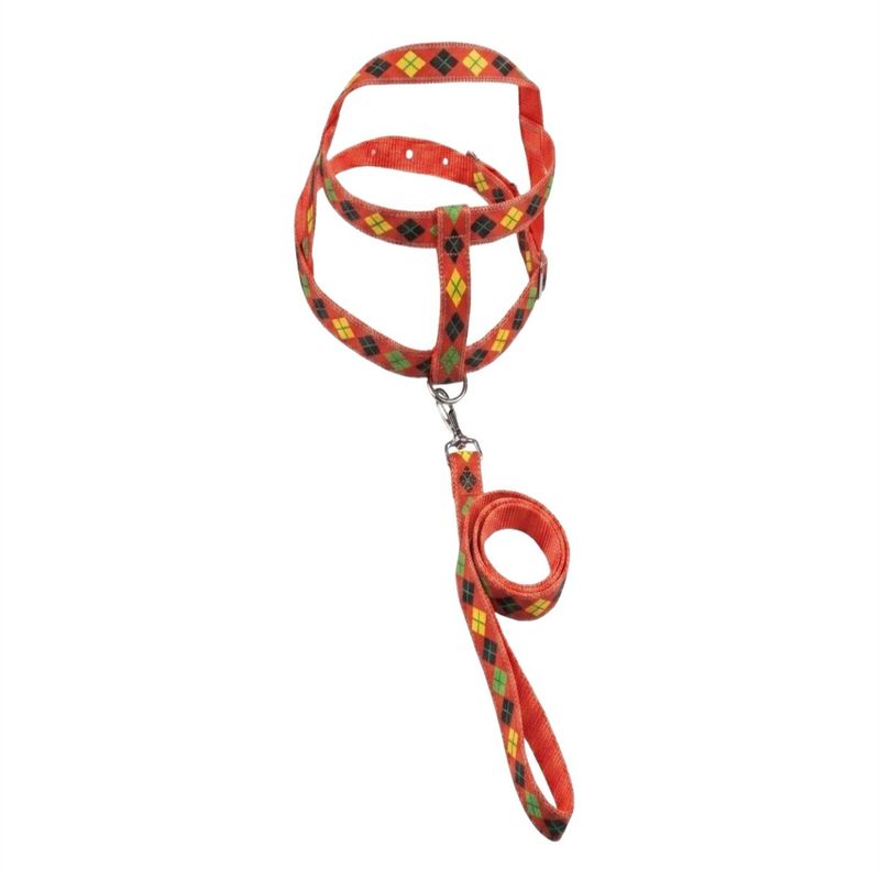 GuiaTradicionalcomPeitoralSortidaFuracaoPetnº4GuiaTradicionalcomPeitoralFuracaoPetn4-169755