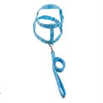 GuiaTradicionalcomPeitoralSortidaFuracaoPetnº4GuiaTradicionalcomPeitoralFuracaoPetn4-169756