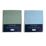 LencoldeSolteiroAvulsoMicrofibraSortidoAndreza-170817