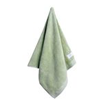ToalhadeRostoDairVerdeBuddemeyer48cmx90cm-171752