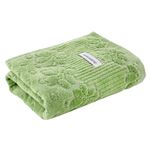 ToalhadeRostoLolliVerdeBuddemeyer48cmx80cm-171865