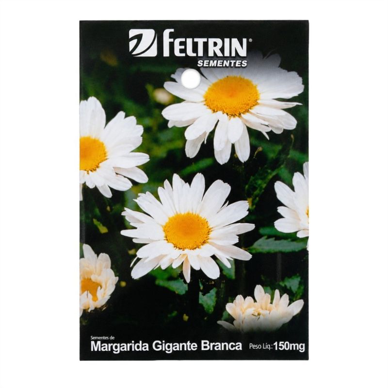 SementesMargaridaBrancaFeltrin-173095