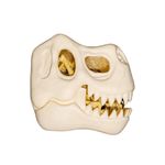FossildeDinossauroForKids-173350