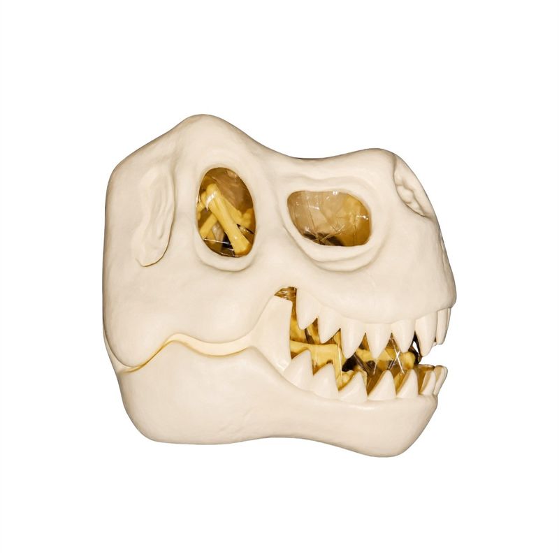 FossildeDinossauroForKids-173350