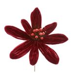 FlorBicodePapagaioFileteMagizi25cm-174823