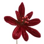 FlorBicodePapagaioFileteMagizi25cm-174824